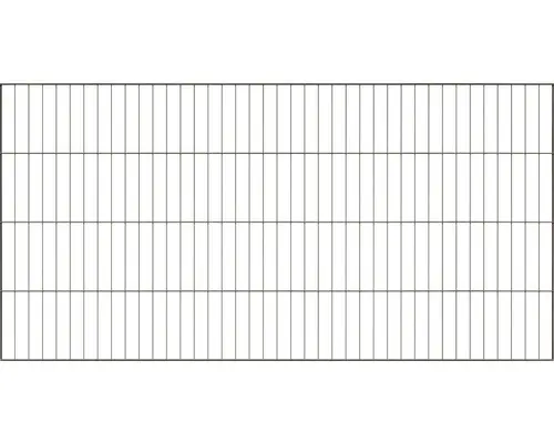 Einstabmatte ALBERTS Garden 8/6/4 RAL 7016 200 x 100 cm anthrazit