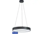 Hornbach LED Pendelleuchte EGLO crosslink.z LED 26 W RGB Einstellbares Weiß 4 -flammig IP 20 Schwarz ( 31763 )