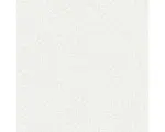 Hornbach Vliestapete 113419 Laura Ashley Stipple Weiss