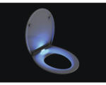 Hornbach WC-Sitz Form & Style Maui weiß mit Absenkautomatik und LED Beleuchtung