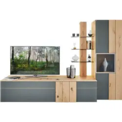 Wohnwand 288/196/55 cm in Grau, Eichefarben