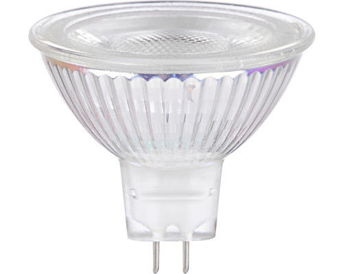 FLAIR LED Reflektorlampe dimmbar MR16 GU5.3/3W(22W) 230 lm 6500 K tageslichtweiß 12V 36°