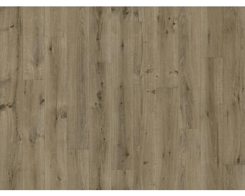 PVC-Boden Jackson Holz sweet oak eiche 196M 300 cm breit (Meterware)