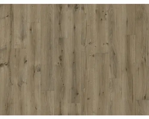 PVC-Boden Jackson Holz sweet oak eiche 196M 300 cm breit (Meterware)