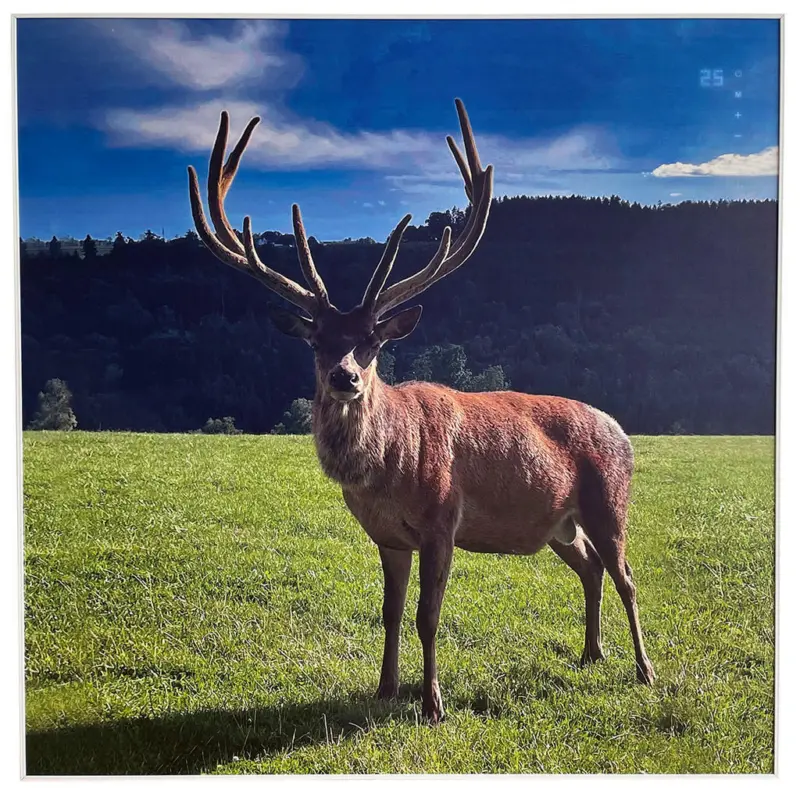 Infrarot-Heizpaneel Deer 360 W