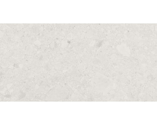 Feinsteinzeug Bodenfliese Donau 30,0x60,0 cm beige matt rektifiziert