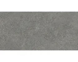 Feinsteinzeug Bodenfliese Alpen 30,0x60,0 cm grau matt rektifiziert