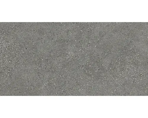 Feinsteinzeug Bodenfliese Alpen 30,0x60,0 cm grau matt rektifiziert