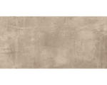 Hornbach Feinsteinzeug Bodenfliese New Concrete 30x60 cm Taupe matt rektifiziert