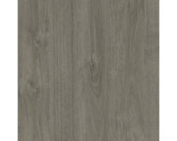 Regalboden Sanox 75x40 cm für Stahlrahmen harbor oak