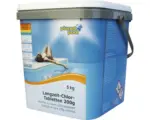 Hornbach Langzeit-Chlor-Tabletten Planet Pool 200g/Stück 5 kg