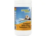 Hornbach Langzeit-Mini-Chlor-Tabletten Planet Pool 20g/Stück 1 kg