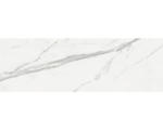 Hornbach Steingut Wandfliese Cellini 33,3x100,0 cm grau matt rektifiziert
