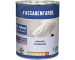 Hornbach HORNBACH Fassadenfarbe weiß 1 l