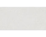 Hornbach Feinsteinzeug Bodenfliese Alpen 30,0x60,0 cm weiß matt rektifiziert