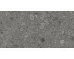 Hornbach Feinsteinzeug Bodenfliese Donau 30,0x60,0 cm grau matt rektifiziert