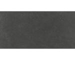 Hornbach Feinsteinzeug Bodenfliese Alpen 30,0x60,0 cm graphit matt rektifiziert