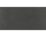Hornbach Feinsteinzeug Bodenfliese Alpen 30,0x60,0 cm graphit matt rektifiziert