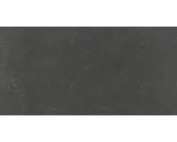 Feinsteinzeug Bodenfliese Alpen 30,0x60,0 cm graphit matt rektifiziert