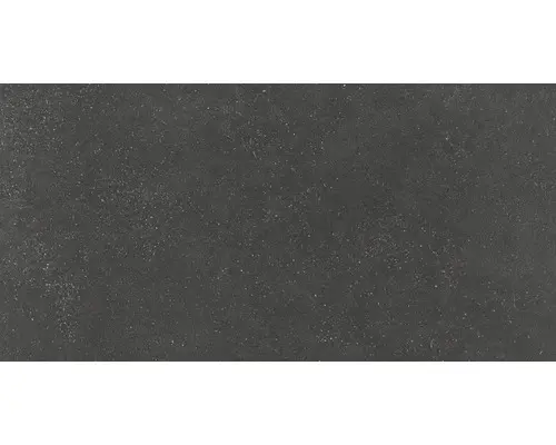 Feinsteinzeug Bodenfliese Alpen 30,0x60,0 cm graphit matt rektifiziert