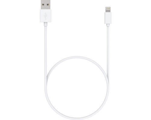 USB-Kabel Typ A auf Lightning, 1 m weiß