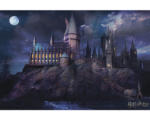 Hornbach Maxiposter Harry Potter Hogwarts 61x91,5 cm
