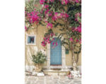 Hornbach Maxiposter Mediterranean Door 61x91,5 cm