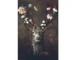 Hornbach Maxiposter Fauna Flora Deer 61x91,5 cm