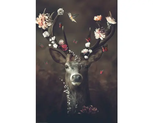 Maxiposter Fauna Flora Deer 61x91,5 cm