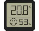 Hornbach Thermo-Hygrometer TFA schwarz
