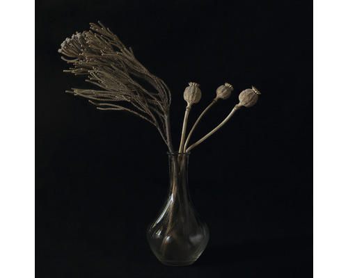 Glasbild Dark Floral Still Life 20x20 cm