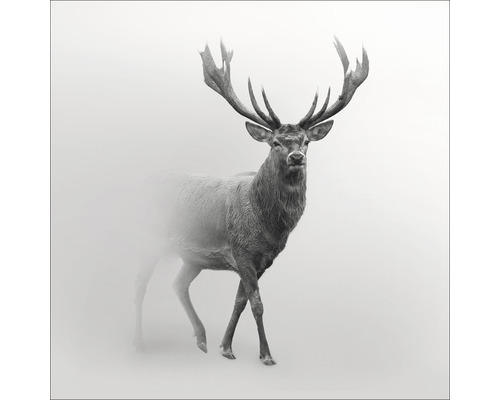 Glasbild Grey Deer V 20x20 cm