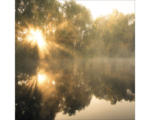 Hornbach Glasbild Sun At The Pond 30x30 cm