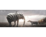 Hornbach Glasbild Striped Animal Meeting 30x80 cm
