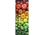 Hornbach Glasbild Colorful Tomatoes 30x80 cm