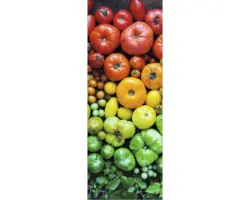 Glasbild Colorful Tomatoes 30x80 cm