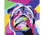 Hornbach Glasbild Colored Pug 50x50 cm