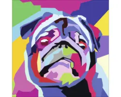 Glasbild Colored Pug 50x50 cm