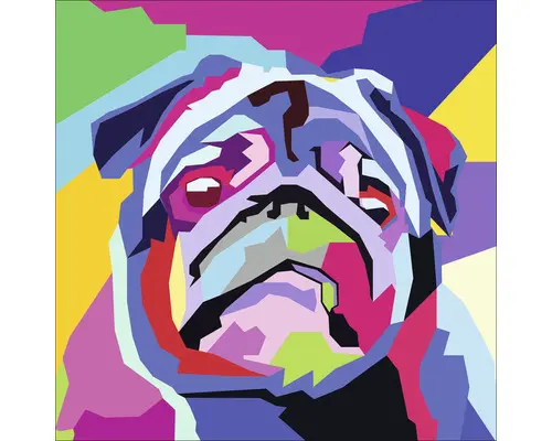 Glasbild Colored Pug 50x50 cm