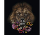 Hornbach Glasbild Flowered Lion 50x50 cm