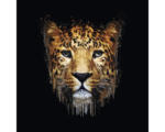 Hornbach Glasbild Leopard Illustration 80x80 cm