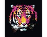 Hornbach Glasbild Colored Tiger 80x80 cm