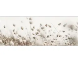 Leinwandbild Dried Fiber II 27x77 cm