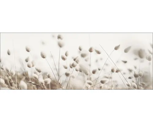 Leinwandbild Dried Fiber II 27x77 cm