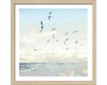 Hornbach Gerahmtes Bild Seagulls Beach 33x33 cm