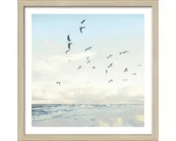 Gerahmtes Bild Seagulls Beach 33x33 cm