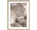 Hornbach Gerahmtes Bild Mushrooms 33x43 cm