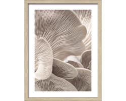 Gerahmtes Bild Mushrooms 33x43 cm