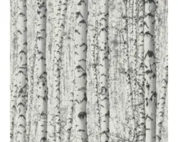 Vliestapete 38719-1 Pint Walls Birkenwald weiß weiß