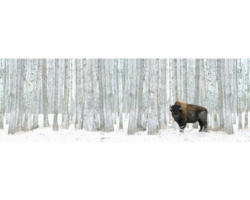 Leinwandbild Winter Bison 50x150 cm